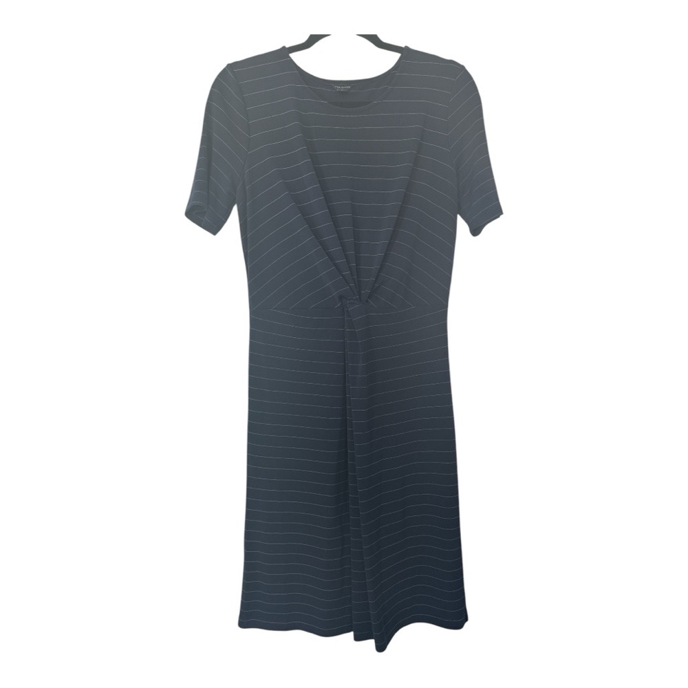 Ann Taylor Striped Navy Dress